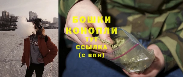 сатива Ростов