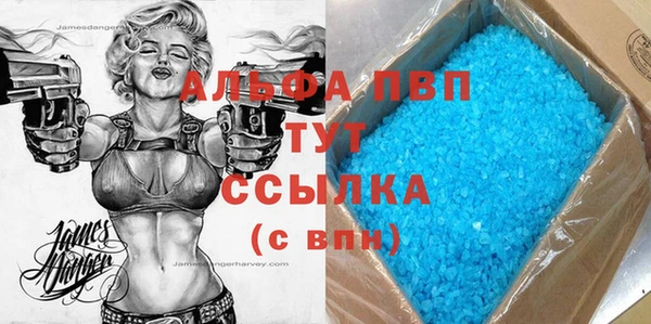 сатива Ростов