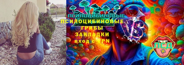 сатива Ростов