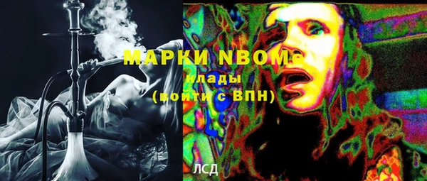 сатива Ростов