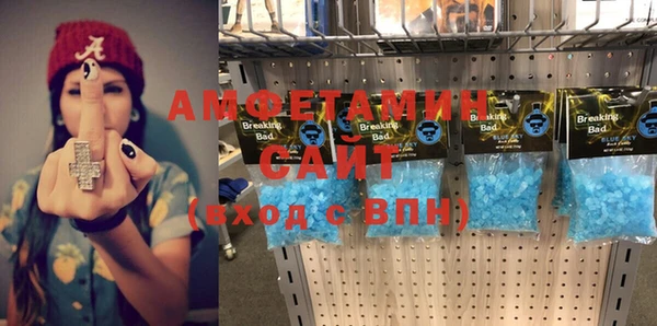 сатива Ростов