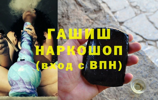 сатива Ростов