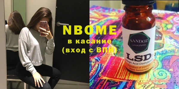 сатива Ростов