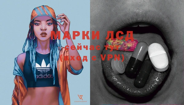сатива Ростов
