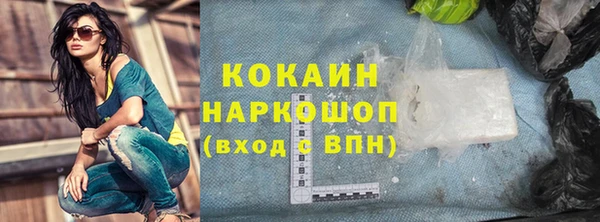 сатива Ростов