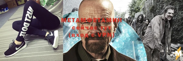 сатива Ростов