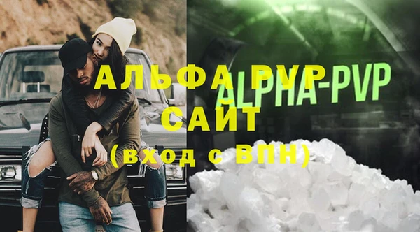 сатива Ростов