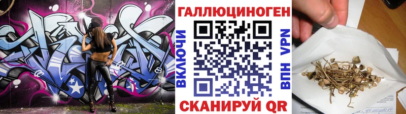 хочу наркоту  Сольцы  Галлюциногенные грибы мицелий 